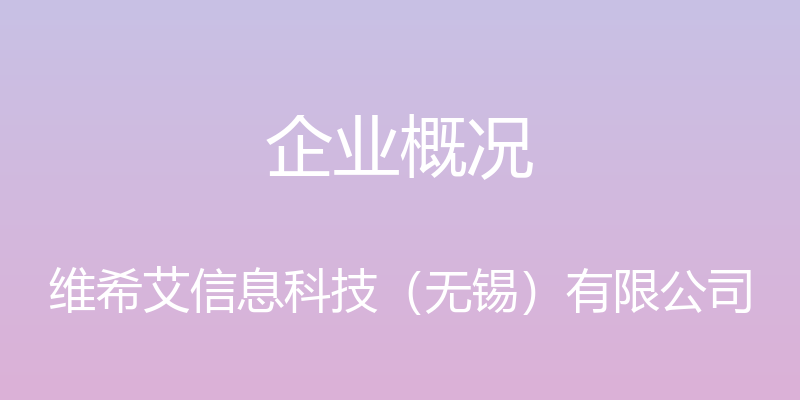 企业概况 - 维希艾信息科技（无锡）有限公司